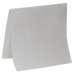 Paper Towels<Pacific Blue Select Patient Care Single Fold Paper Towels, 1-ply, 55 Sheets/Pack, 24 Packs/Carton (29506)