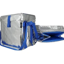 Food Storage Containers<PACKiT Fresh Eco Freeze Tote, Large, Silver/Blue, 4/Carton (PKF-UD-MAG)