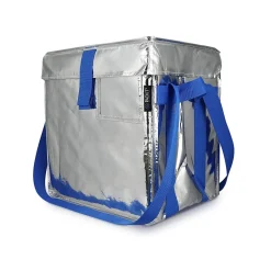 Food Storage Containers<PACKiT Fresh Eco Freeze Tote, Large, Silver/Blue, 4/Carton (PKF-UD-MAG)