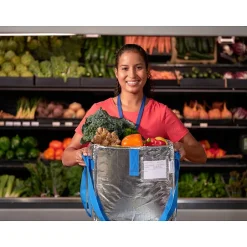 Food Storage Containers<PACKiT Fresh Eco Freeze Tote, Large, Silver/Blue, 4/Carton (PKF-UD-MAG)