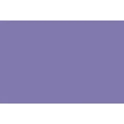 Outlet 12" x 18" Construction Paper, Violet, 50 Sheets/Pack (PAC7207) Construction Paper