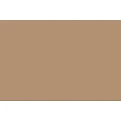 Hot 12" x 18" Construction Paper, Light Brown, 50 Sheets/Pack (PAC6907) Construction Paper