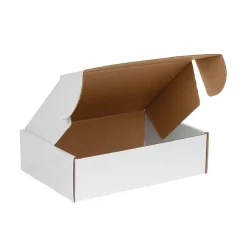 Unbranded Partners Brand Deluxe Literature Mailers, 24