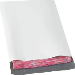 Partners Brand Peel & Seal Expansion Poly Mailer, 10