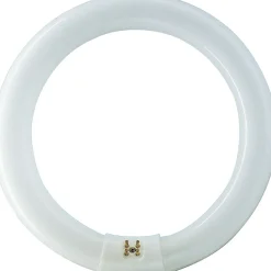 Light Bulbs<Philips Fluorescent Light Bulb, T9, 32 Watts, Daylight, 12" Outside Diameter, 12PK