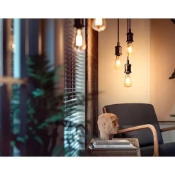 Smart Bulbs<Philips Hue 60W Equivalent ST19 LED Smart Bulb, White (571125)