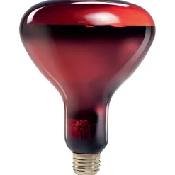 Light Bulbs<Philips Incandescent Heat Lamp, R40, 250 Watts, 4PK