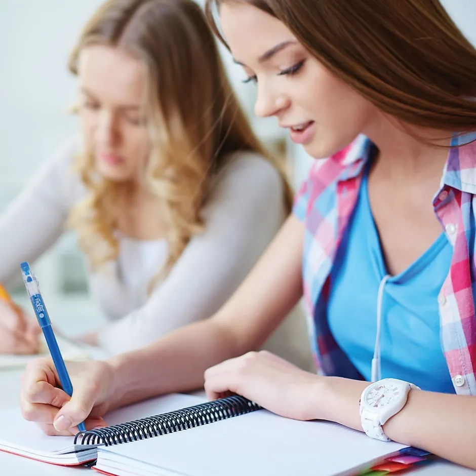 Pilot FriXion Colorsticks Erasable Gel Pens, Fine Point, Assorted Ink, 5/Pack (32443/15145) Best