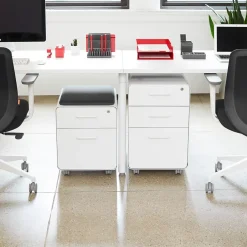 Stow 2-Drawer Mobile Vertical File Cabinet, Letter/Legal Size, Lockable, 21.5