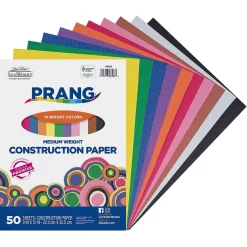 New 9" x 12" Construction Paper, Assorted Colors, 50 Sheets/Pack (P6503-0001) Construction Paper