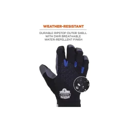 Work Gloves<Proflex 817 Reinforced Thermal Utility Gloves, Black, Large (17354)