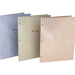 Pukka Pad Haze 3-Hole Punched 2-Pocket Cardstock Portfolio Folders, Assorted Colors, 6/Pack (9980(AST)-HZE) Online