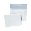 Quality Park Booklet Envelope 4 3/4" x 6 1/2", White, 100/Box (QUA36417)* Business