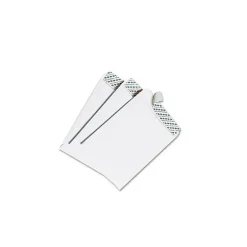 Quality Park Clasp #15 1/2 Catalog Envelope, 12" x 15 1/2", White, 100/Box (44082)* Catalog