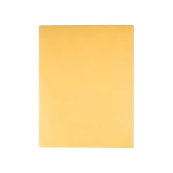 Quality Park ClearClasp Redi-Tac Kraft Catalog Envelopes, 10" x 13", Brown Kraft, 100/Box (QUA43768)* Security Tinted