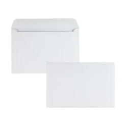 Quality Park Gummed Booklet Envelopes, 6