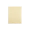 Quality Park Gummed Document Envelopes, 10" x 15", Cameo Buff, 100/Box (QUA54416)* Business
