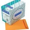 Quality Park Gummed Kraft Catalog Envelope, 10" x 13", Kraft, 250/Box (41665)* Catalog