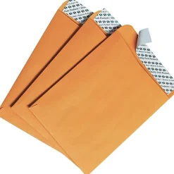 Quality Park Kraft Redi-Strip Self Seal Catalog Envelope, 6" x 9", Kraft, 100/Box (44162)* Catalog