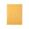 Quality Park Redi-Strip Kraft Catalog Envelopes, 9" x 12", Brown Kraft, 100/Box (QUA44562)* Catalog