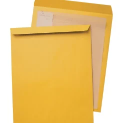 Quality Park Unsealed Kraft Catalog Envelope, 22" x 17", Kraft, 25/Box (42356)* Catalog