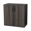 Best 31.5" Storage Cabinet with 2 Shelves, Weathered Gray (G115002600) Storage Cabinets