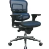 Discount Raynor Eurotech Ergo human Mesh Mid Back Task Chair, Blue Office Chairs