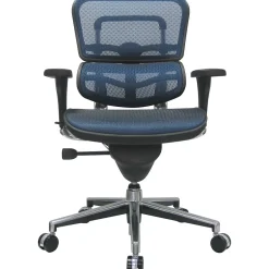 Discount Raynor Eurotech Ergo human Mesh Mid Back Task Chair, Blue Office Chairs