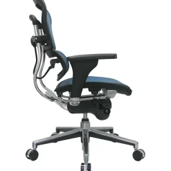 Discount Raynor Eurotech Ergo human Mesh Mid Back Task Chair, Blue Office Chairs