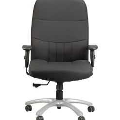 Discount Raynor Eurotech Excelsior Fabric Big and Tall Manager's Chair, Black (BM90000-BLK) Office Chairs