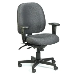 Raynor Fabric 4 x 4 Multi-function Task Chair, Charcoal Office Chairs