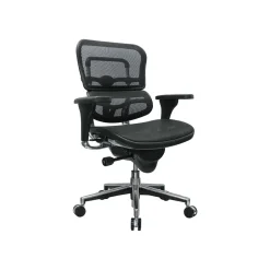 Hot Raynor Low Back Mesh Task Chair, Black (ME8ERGLO(N)) Office Chairs
