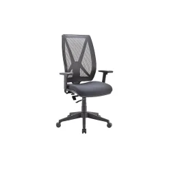 Raynor Outlast Cooling Fabric Task Chair, Black (OL9600-BLK) Office Chairs