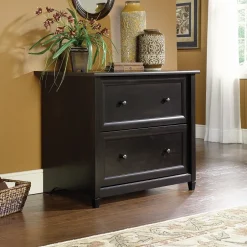 Online Edge Water 2-Drawer Lateral File Cabinet, Letter/Legal Size, Estate Black (409044) File Cabinets