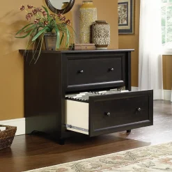 Online Edge Water 2-Drawer Lateral File Cabinet, Letter/Legal Size, Estate Black (409044) File Cabinets