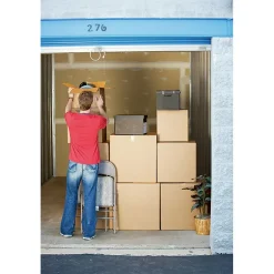 Scotch ™ Designer Cushion Wrap, 12 in x 10 ft, 1/Pack (7920-HOMX-ESF)* Bubble Rolls