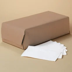 Napkins<Scott Recycled Napkin, 2-ply, White, 300 Napkins/Pack, 10/Carton (98200)