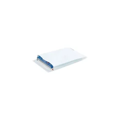 Unbranded Self Seal Catalog Envelope 10" x 13", White, 100/Carton (TYE10132WE)* Catalog