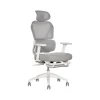 Clearance S-850 Ergonomic Mesh Swivel Computer and Desk Chair, Light Gray/White (60106-LGRYWHT) Office Chairs