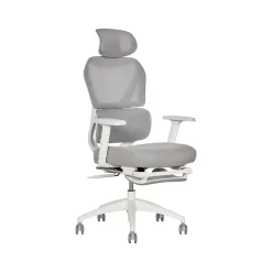 Clearance S-850 Ergonomic Mesh Swivel Computer and Desk Chair, Light Gray/White (60106-LGRYWHT) Office Chairs