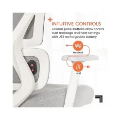 Clearance S-850 Ergonomic Mesh Swivel Computer and Desk Chair, Light Gray/White (60106-LGRYWHT) Office Chairs