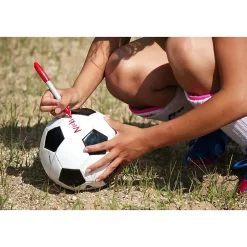 Sharpie Extreme Permanent Markers, Fine Tip, Black, 12/Pack (1927432) Sale