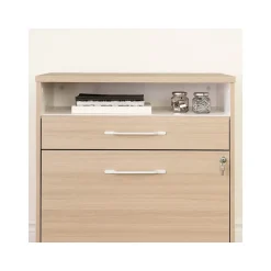 Online Helsy 2-Drawer Lateral File Cabinet, Letter/Legal Size, Lockable, 30.25"H x 29"W x 18.5"D, Soft Elm/White (13304) File Cabinets