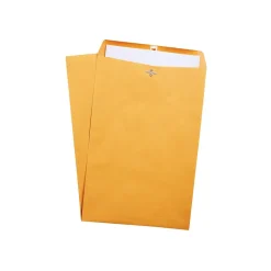 Staples Clasp & Moistenable Glue #15.5 Kraft Catalog Envelopes, 12