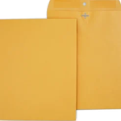 Staples Clasp & Moistenable Glue Kraft Catalog Envelopes, 10"L x 13"H, Brown, 250/Box (487494/17243)* Catalog