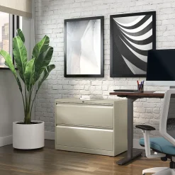 Discount Commercial 2-Drawer Lateral File Cabinet, Letter/Legal Size, Lockable, 28.15