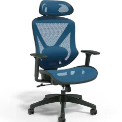 Best ® Dexley Ergonomic Mesh Swivel Task Chair, (UN59375) Ergonomic Chairs