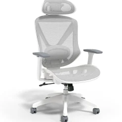 Best Dexley Ergonomic Mesh Swivel Task Chair, (UN61365) Office Chairs