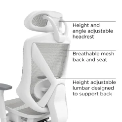 Best Dexley Ergonomic Mesh Swivel Task Chair, (UN61365) Office Chairs