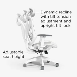 Sale Dexley Ergonomic Mesh Swivel Task Chair, (UN61365) Ergonomic Chairs